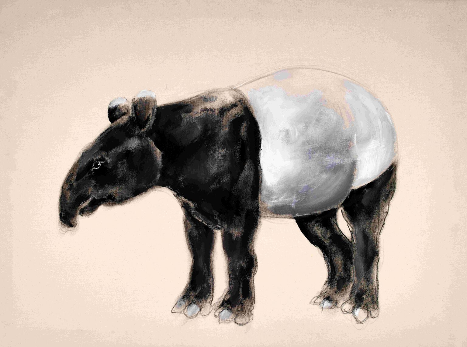 "Tapir", Ölkreiden, Akryl auf Leinwand, 160 cm x 120 cm, 2007