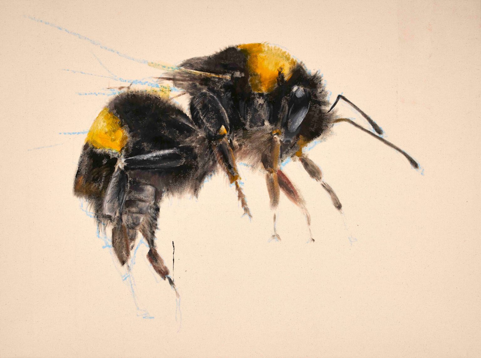 "Erdhummel", Ölkreide/Acryl auf Leinwand, 90cm x 130cm, 2017