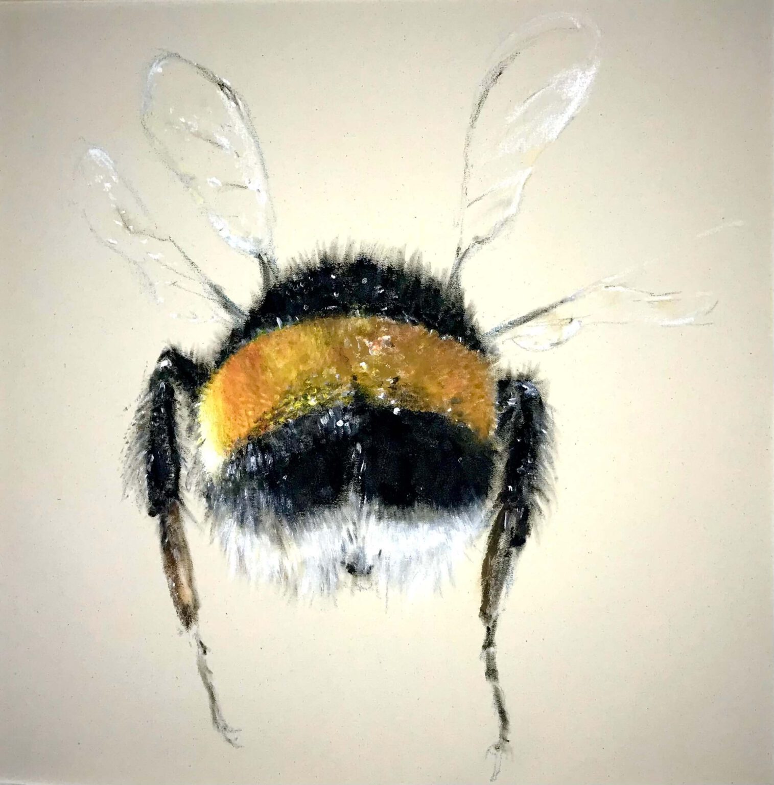 "Plüschmors", Ölkreide/Acryl auf Leinwand, 80cm x 80cm, 2024