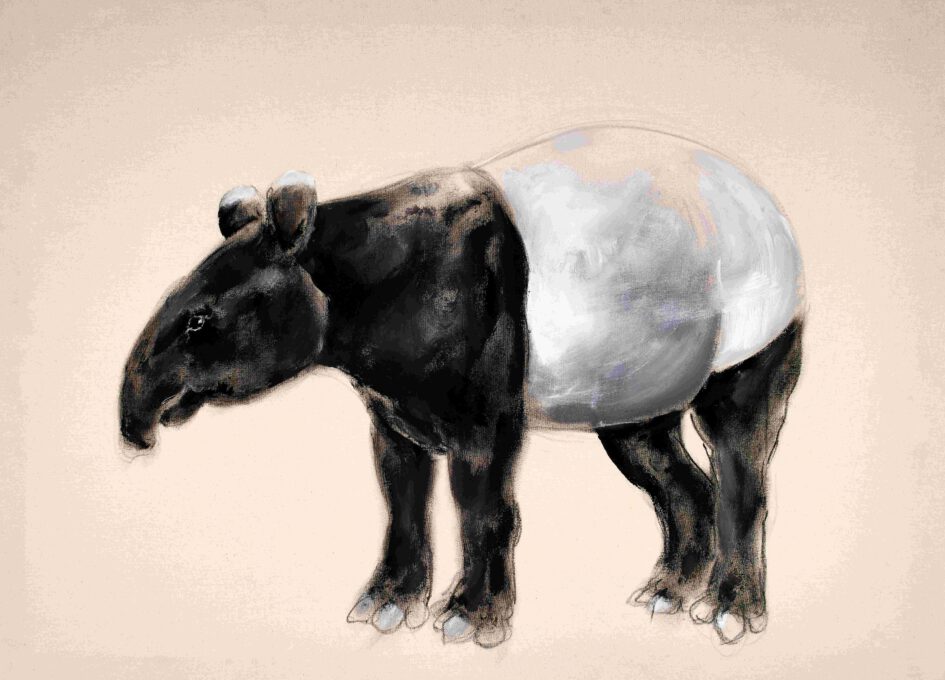 "Tapir", Ölkreiden, Akryl auf Leinwand, 160 cm x 120 cm, 2007