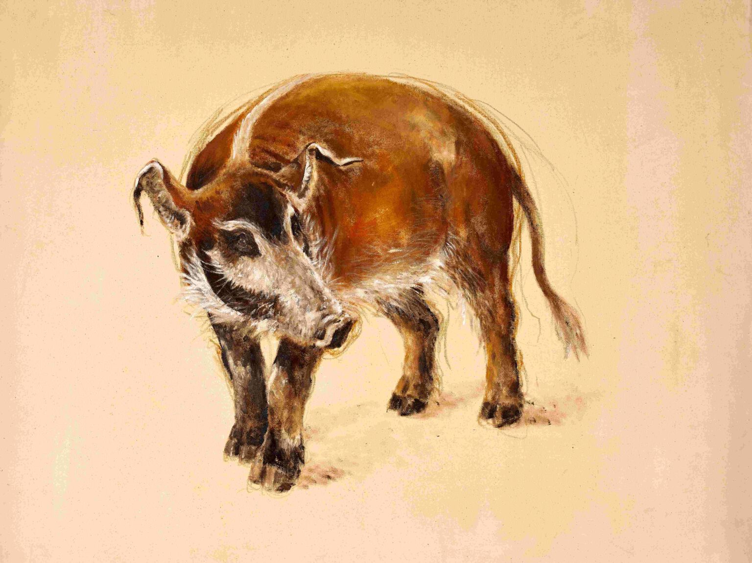 "Pinselohrschwein", Ölkreide/Acryl auf Leinwand, 90cm x 150cm, 2009